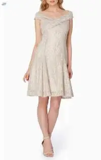 Lace Fit & Flare Dress