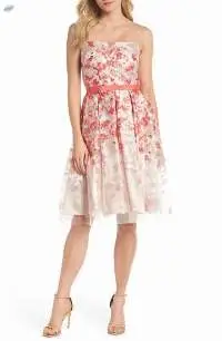 Embroidered Fit & Flare Cocktail Dress