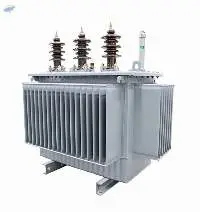 Oil-Immersed Transformer