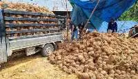 Semi Husked Coconut
