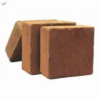 Coco Peat Or Coir Pith