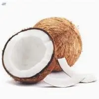 Coconut Semi Husked