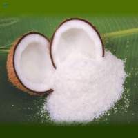 Desiccated Coconut Powder