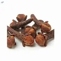 Clove