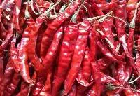 Dry Red Chilli
