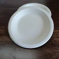 6" Inch Round Plate