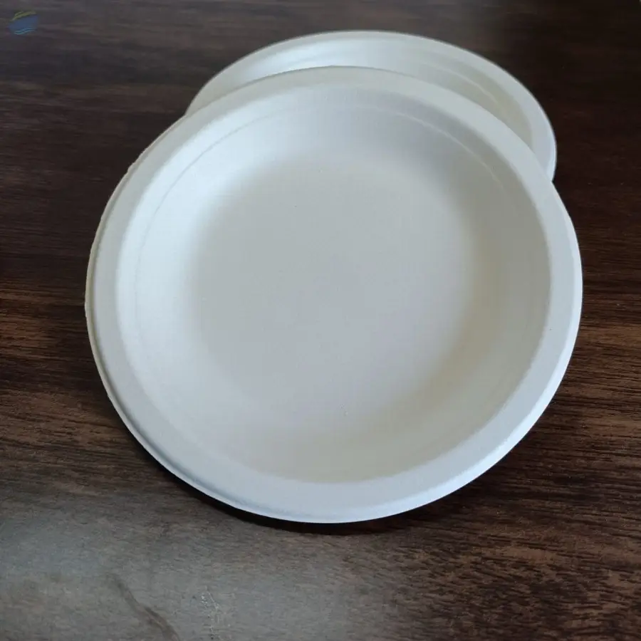 6" Inch Round Plate