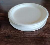9" Inch Round Plate