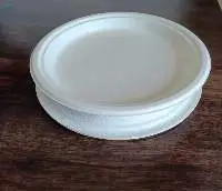 10" Inch Round Plate