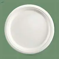 11" Round Plate