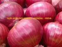 Onion