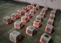 Briquette