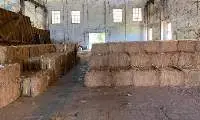 Coco Fiber
