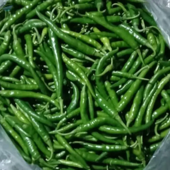 Green Chilli