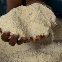 Premium Cassava Flour