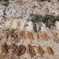 Silica