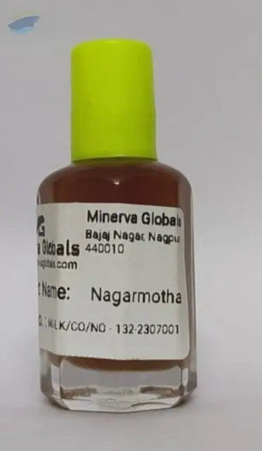 Nagarmotha Essential Oil