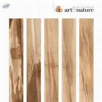 Glazed Porcelain Tiles
