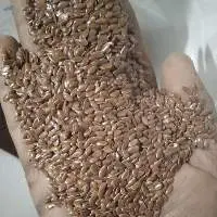 Flax Seeds