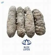 Dried Sea Cucumber Curry Fish From Vietnam