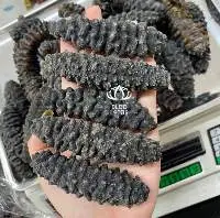 Dried Sea Cucumber Black Thorns - Blue Lotus