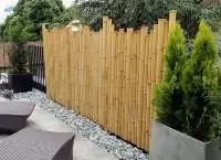 Bamboo Fence