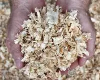 Wood Shaving