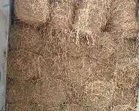 Rice Straw For Animal Feeding