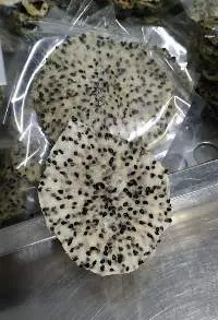 Dried Dragon Fruit