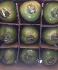 FRESH COCONUT