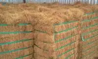 Coco Fiber