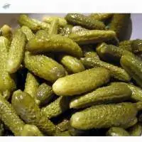 Pickled Gherkin Cucumber