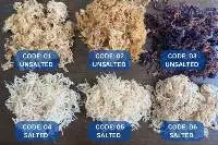 Sea Moss
