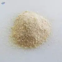 Onion Powder