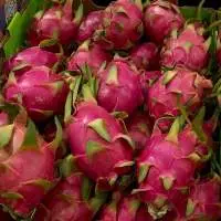 Fresh Dragon Fruit