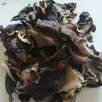 Black Fungus Mushroom