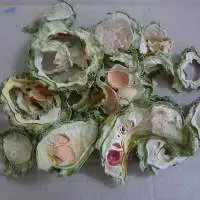 Dried Bitter Melon