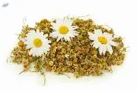 Dried Daisy Chamomile Flowers