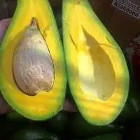 Frozen Avocado Pure/ Half Cut