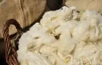 Kapok Fiber High Quality