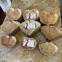 Palm Leaf Areca Plate Vietnam