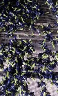 Dried Butterfly Pea Flower