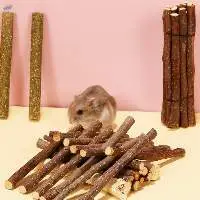 Apple Branches For Hamster
