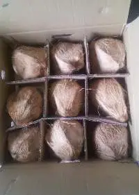 Semi Husked Coconut