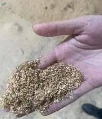 Pine Wood Sawdust