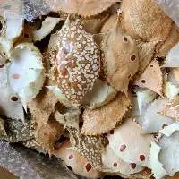 Crab Shell Origin Viet Nam