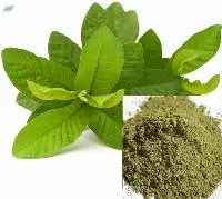 Guava Leaf