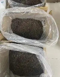 Papaya Seeds