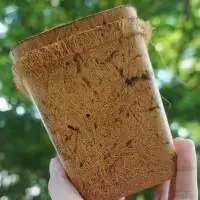 Coconut Coir Pot