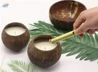Coconut Shell Candle - Blue Lotus Farm